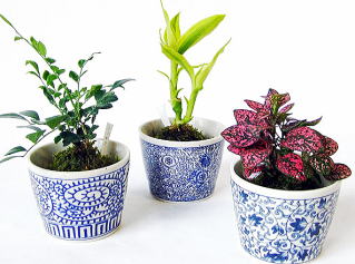 NEIGHBORHOOD - 希少 SRL . BOWLTYPE PLANT POT-XL . PPの+