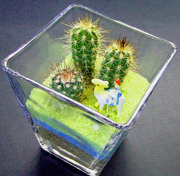 Cactus Club カクタスクラブXL 美品 Yahoo!フリマ（旧）+jarelatorio